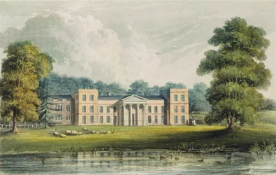 De wijnstok van het meer, uit Ackermann